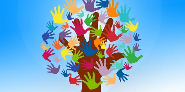 Recherche bénévoles